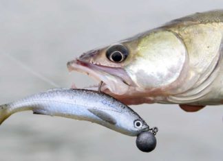 Echter geht’s nicht!