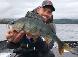 Norwegische Meisterschaft im Barschangeln