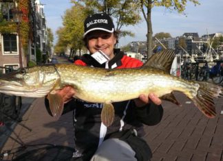 „Vizemeister“ beim Open Street Amsterdam 2018 Mitten in Amsterdam lassen sich schöne Hechte fangen! Ruwen Koring mit einem schönen Esox aus der wasserreichen Metropole.