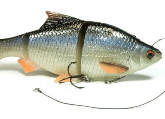 Savage Gear 3D Line Thru Roach