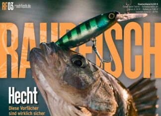 DER RAUBFISCH 3/2019