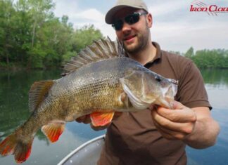 Warten lohnt sich Eine ausgedehnte Spinnpause beim Jiggen brachte Andreas Jäger diesen schönen Barsch.