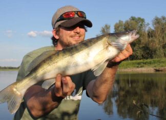 Niederlande: Start der Raubfischsaison