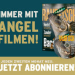 raubfisch-med-rec19