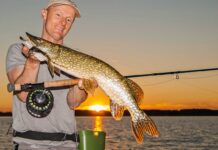 Veluwemeer in Holland Das Fliegenfischen ist auf dem Veluwemeer an ruhigen Tagen besonders effektiv. Die Streamer sollten nur nicht zu klein sein.