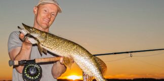 Veluwemeer in Holland Das Fliegenfischen ist auf dem Veluwemeer an ruhigen Tagen besonders effektiv. Die Streamer sollten nur nicht zu klein sein.