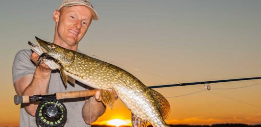 Veluwemeer in Holland Das Fliegenfischen ist auf dem Veluwemeer an ruhigen Tagen besonders effektiv. Die Streamer sollten nur nicht zu klein sein.