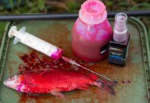 Doping für Köderfische Lockstoffe für Hechte