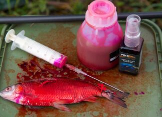 Doping für Köderfische Lockstoffe für Hechte