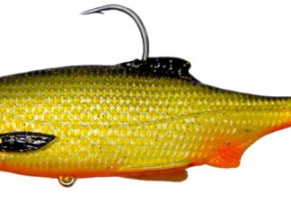 WESTIN RICKY THE ROACH R‘NR