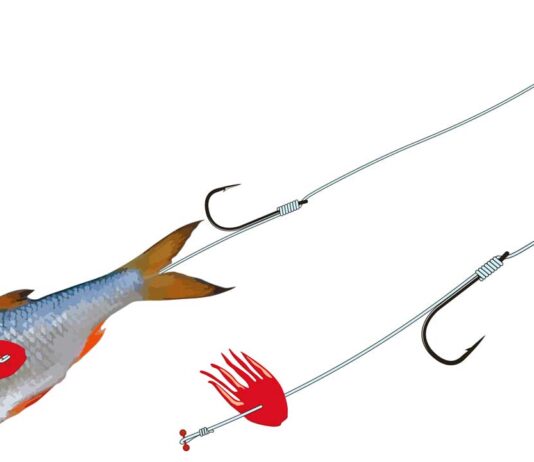 Das Zander-Haarvorfach