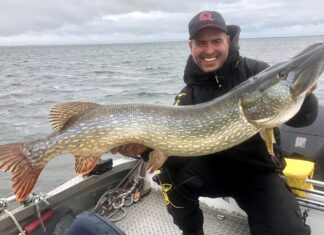 Quantum erhält Verstärkung