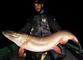 Fredrik Harbort fängt 137-cm-Hecht