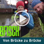 bruecke-vod