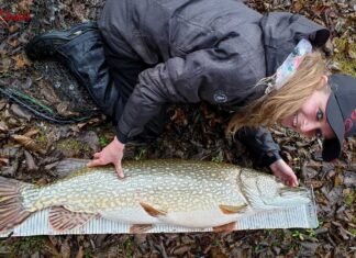 Kapitale Weihnachts-Überraschung