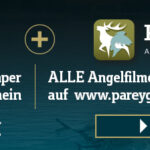 RF_ePaper_Premium_698x224