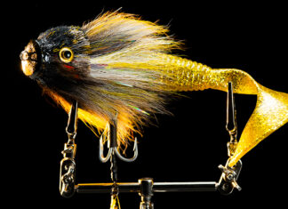 Miuras Guldkant: Hechtstreamer mit echtem Gold