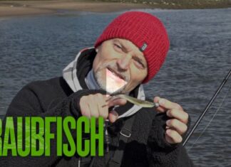 Frei für alle auf Pareygo.de: Basics an der Buhne mit Dietmar Isaiasch