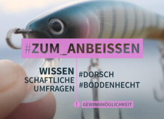 Wissenschaftliche Umfragen zum Küsten- und Boddenangeln