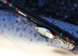 Umweltfreundliches Weitwurfwunder