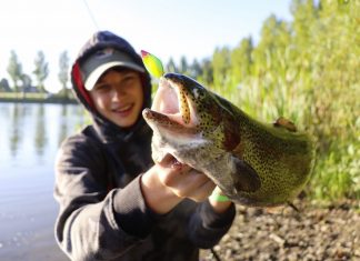 Aktion im Sommerloch Magic Trout Bloody Inliner