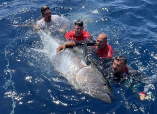 Tuna XXL vor Mallorca!