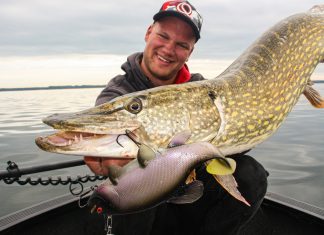 Heiße Drills im Freiwasser Freak of Nature Schleie