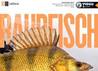 DER RAUBFISCH 6/2021