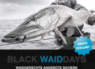 Black Waiddays im Pareyshop! Black Waiddays