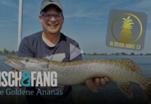 Frei für alle: Die Goldene Ananas 2.0