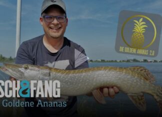 Frei für alle: Die Goldene Ananas 2.0