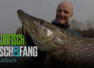 Frei für alle auf Pareygo: So fängt der Twitchmaster Twitchmaster