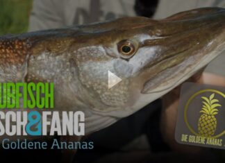 Frei für alle auf Pareygo: Die Goldene Ananas 2.0, Folge 4 Die Goldene Ananas