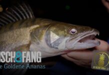 Frei für alle auf Pareygo: Die Goldene Ananas 2.0, Folge 5