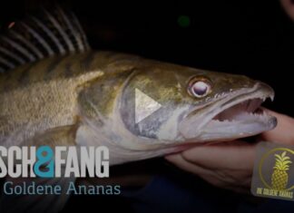 Frei für alle auf Pareygo: Die Goldene Ananas 2.0, Folge 5