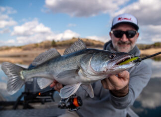 Zeck holt sich Johannes Dietel
