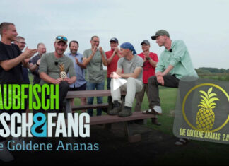 Frei für alle auf Pareygo: Die Goldene Ananas 2.0 – das Finale!