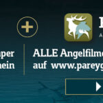 RF_ePaper_Premium_1396x448