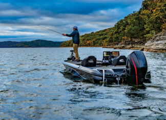 Fische und Strukturen noch einfacher erkennen