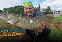 Frei für alle auf Pareygo: Das Gummi-Wunder