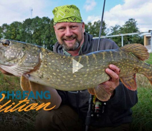 Frei für alle auf Pareygo: Das Gummi-Wunder