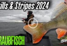 Freier Film für alle: Barsch-Blamage bei Skills & Stripes? Skills & Stripes 2024