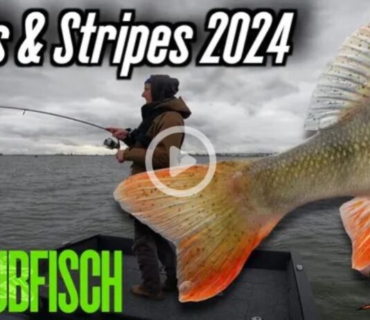 Freier Film für alle: Barsch-Blamage bei Skills & Stripes? Skills & Stripes 2024