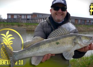 Jetzt auf Youtube: Goldene Ananas 3.0 Goldene Ananas 3.0