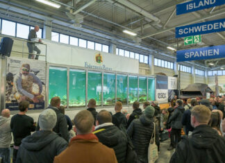 Angelwelt Berlin ist ausgebucht Vor allem Kunstköderangler kommen auf der Angelwelt Berlin auf ihre Kosten. Bild: Messe Berlin GmbH