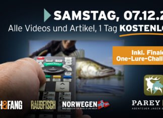 Pareygo einen Tag kostenlos! Freebie-Tag