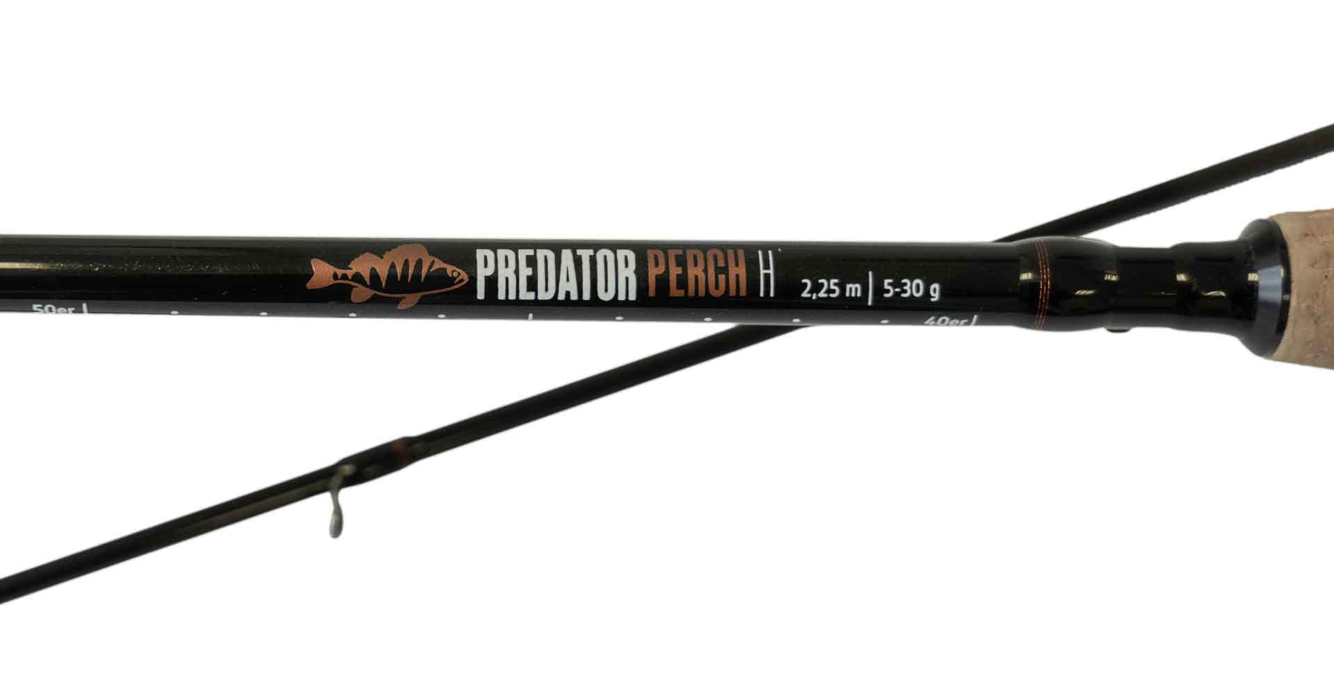 Die neue Predator Perch H Barschrute aus der RAUBFISCH-Edition.