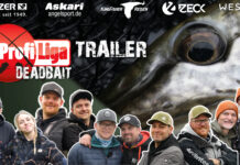 Am 3. Oktober startet die Profi-Liga Deadbait! Profi-Liga Deadbait