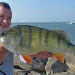 RF_06_25_Barsch_Wilde_3