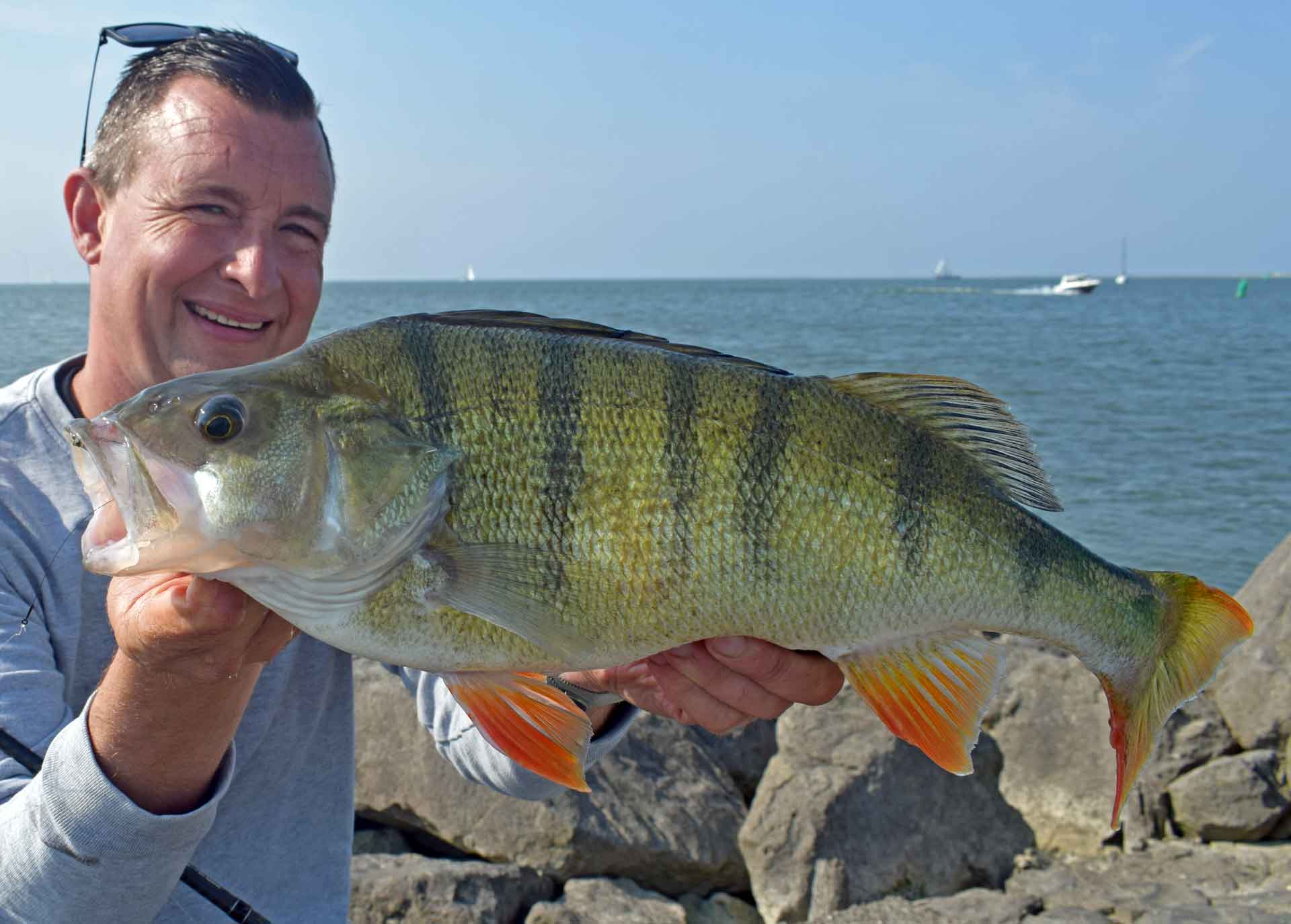 RF_06_25_Barsch_Wilde_3